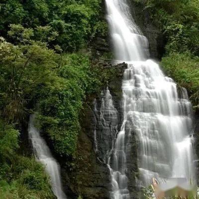 九百九十九朵玫瑰歌词谁有啊游戏画面